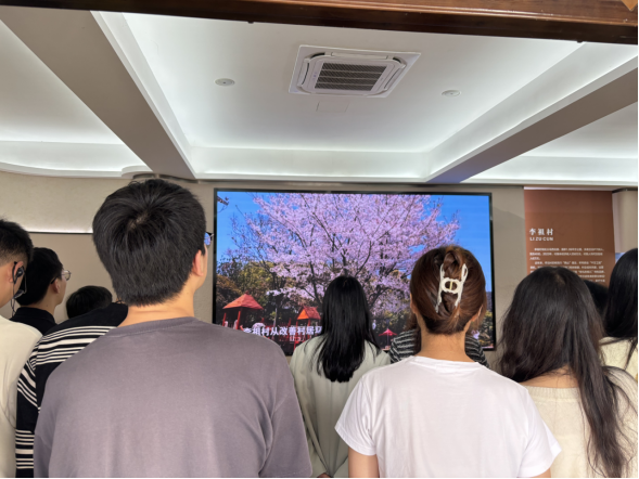 17611003429669376NeP.png image.png